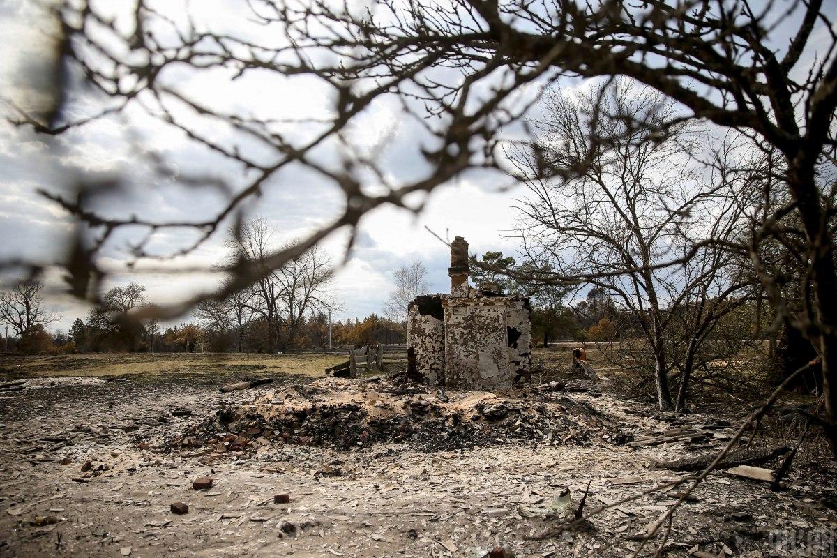 По одной из теорий, озвучиваемых местными жителями, кто-то с помощью огня мог скрывать следы массовых вырубок / Фото УНИАН