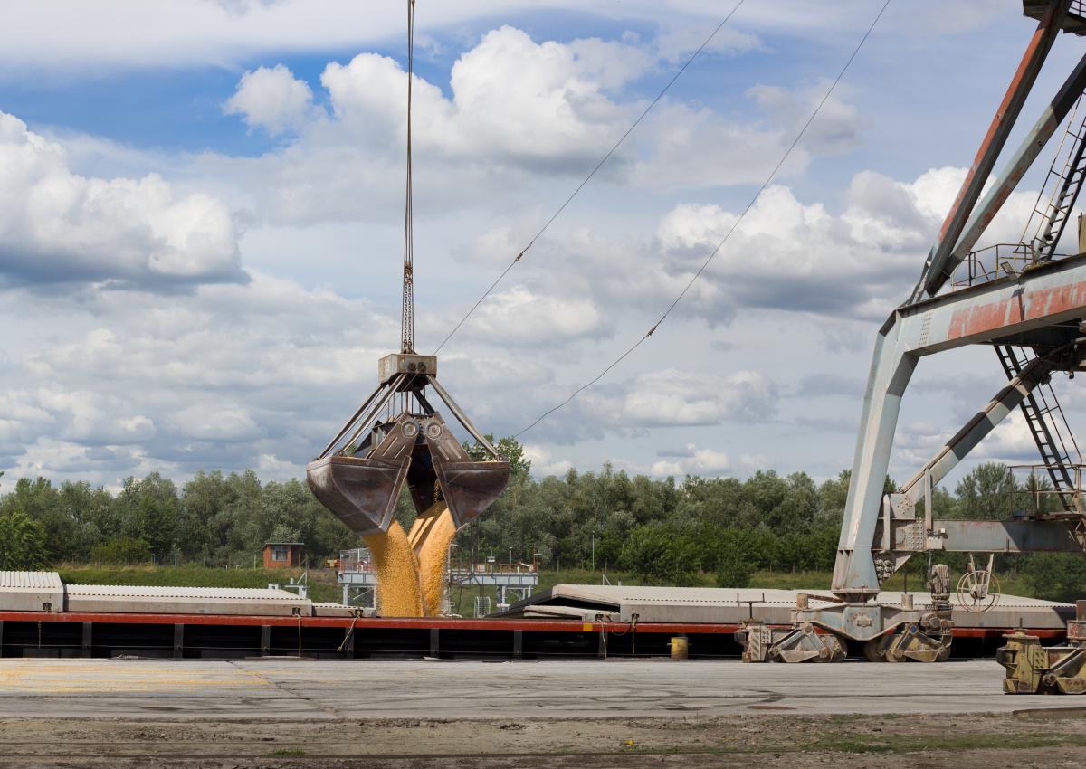 Эксперт объяснил, почему важно, чтобы Украина смогла экспортировать зерно / фото Depositphotos Эксперт объяснил, почему важно, чтобы Украина смогла экспортировать зерно / фото Depositphotos