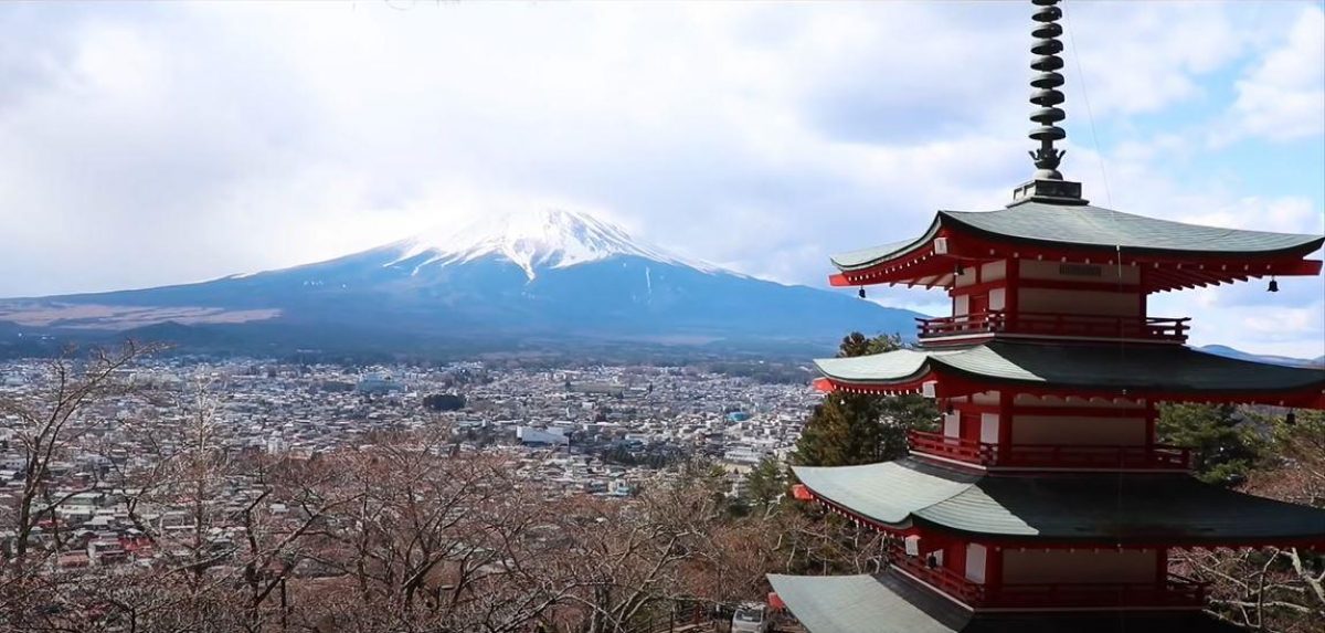 Rozheva Sakura I Suchasnij Tokio Chomu Yaponiya Najnezvichajnisha Krayina Svitu Foto Unian