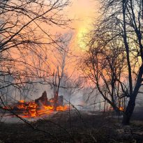 В Чернобыльской зоне горел 
