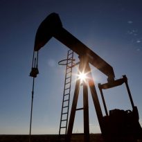 Ukraine reduces foreign currency spending on fuel imports