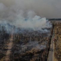Пожары на Житомирщине не могут потушить из-за захламленности и отсутствие дорог – ГСЧС