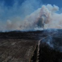 Пожары в Украине: Аваков заявил о локализации очагов возгораний и новом риске