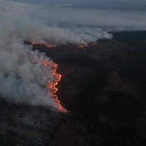 Ukraine's wildfires could be planned sabotage – Interior Ministry