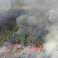 New forest fire outbreaks reported in Chornobyl zone (Photo, video)