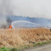 В Минздраве назвали виновных в загрязнении воздуха в Киеве