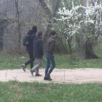 Жители Чернигова праздновали Пасху на пикниках и прогуливались в лесу (фото)