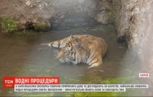 Миття лап та регулярний душ: у харківському зоопарку показали, як його мешканці дотримуються чистоти (відео)