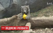 В венском зоопарке игривый белый медвежонок ждет первых зрителей (видео)