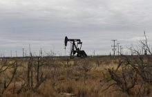 Bloomberg: UAE tries to lower temperature in dispute with OPEC allies