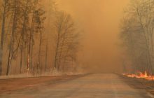 Скинули вже 240 тонн води: рятувальники продовжують гасити пожежі у Чорнобилі (фото)