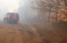 У Чорнобильській зоні та на Житомирщині тліють ліси й торф'яники