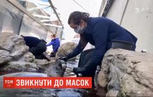 Угроза коронавируса: сотрудники бостонского океанариума начали работать с животными, используя маски (видео)
