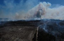 Пожары в Украине: Аваков заявил о локализации очагов возгораний и новом риске