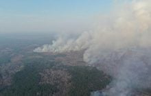 Радиационной опасности из-за пожара в Чернобыльской зоне нет – Минздрав