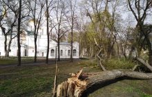 Наслідки буревію на Чернігівщині: пошкоджені авто, повалені дерева та масштабна ДТП (фото)