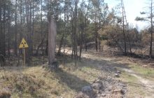 В Чернобыльской зоне продолжается борьба с очагами пожара