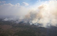 В Чернобыльской зоне не могут преодолеть три очага лесных пожаров