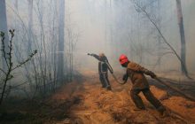 Пожар в Чернобыльской зоне: четыре очага возгорания тушат более 1300 человек