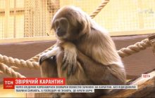 Зоопарки на карантині: журналісти дізналися, як тварини виживають без відвідувачів (відео)