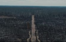 "Absolute Apocalypse": Ukrainian film director uploads drone footage of Chornobyl wildfire aftermath (Video)