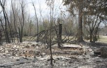 Все пожары в Житомирской области локализованы - ГСЧС (видео)