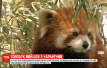 В китайском Ухане после трех месяцев карантина открыли зоопарк (видео)