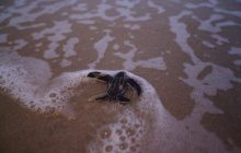 16 червня 2020 - яке сьогодні свято, прикмети і іменинники, що сьогодні не можна робити