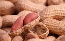 В Україні почали вирощувати в промислових масштабах арахіс