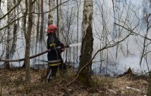 В Житомирской области – новый масштабный лесной пожар