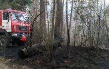 На Харьковщине вспыхнул крупный лесной пожар