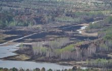 Zelensky says over 11,000 ha damaged by forest fires in Chornobyl exclusion zone