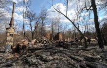 Лесные пожары на Житомирщине удалось локализовать – спасатели