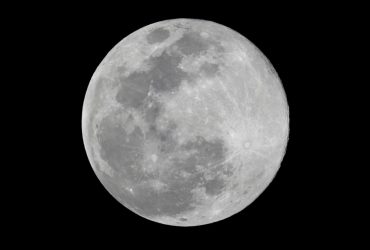 Вперше в історії вченим вдалося виростити рослини на грунті з Місяця