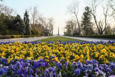 В Одесской области 8-9 мая усиливают меры безопасности: что запрещено