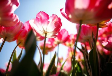 Трохи дощів й потепління: яка погода чекає українців на вихідних (карта)