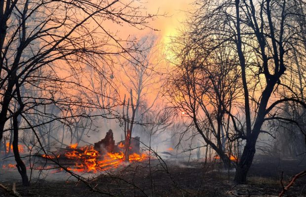У Чорнобильській зоні пожежа знищила 30% туристичних об'єктів