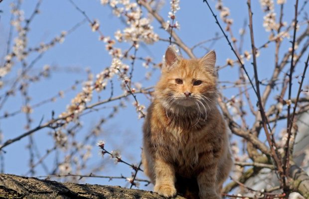 Майские праздники: на этой неделе украинцев ждут длинные выходные