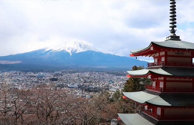 Розовая сакура и современный Токио: почему Япония - самая необычная страна мира (фото)