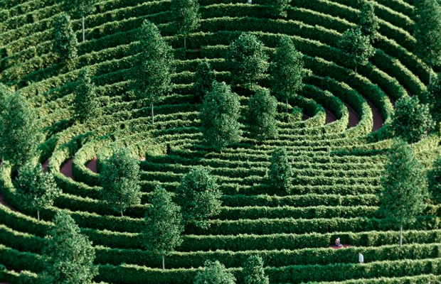 В Вене построят парк-лабиринт для безопасных прогулок во время карантина