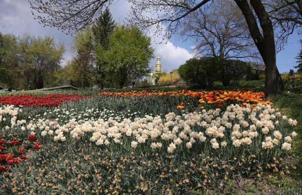 Співоче поле оголосило дату нової квіткової виставки