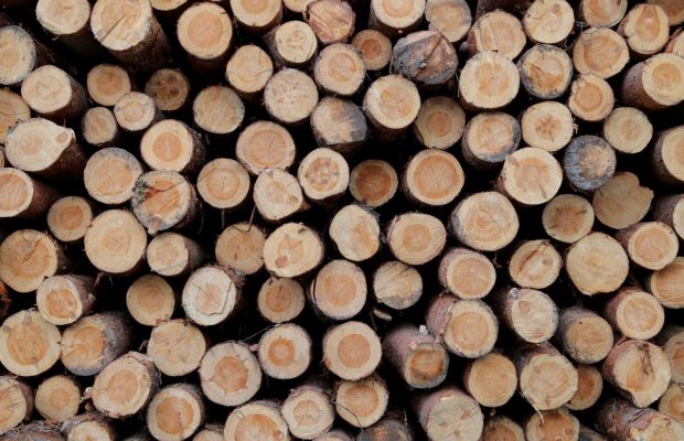 Яким деревом не можна топити піч, а яким можна: корисні поради на зиму