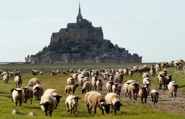 Земля овец и тайн: как выглядит легендарный остров-крепость Мон-Сен-Мишель во Франции без туристов (фоторепортаж)