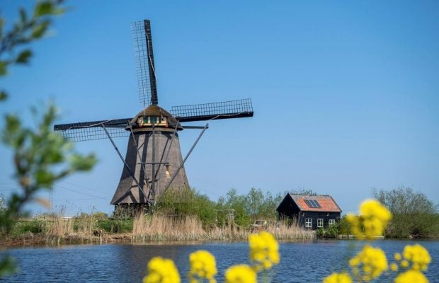 Музеї Нідерландів погодились повернути тисячі творів мистецтва колишнім колоніям