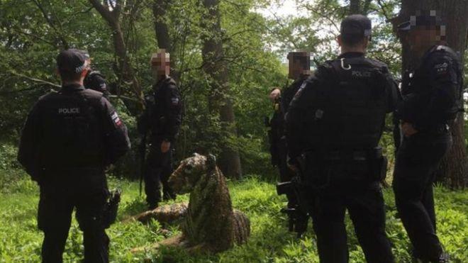 Поліцейські з вертольотом шукали дику кішку, а знайшли скульптуру / Фото: JULIET SIMPSON Поліцейські з вертольотом шукали дику кішку, а знайшли скульптуру / Фото: JULIET SIMPSON
