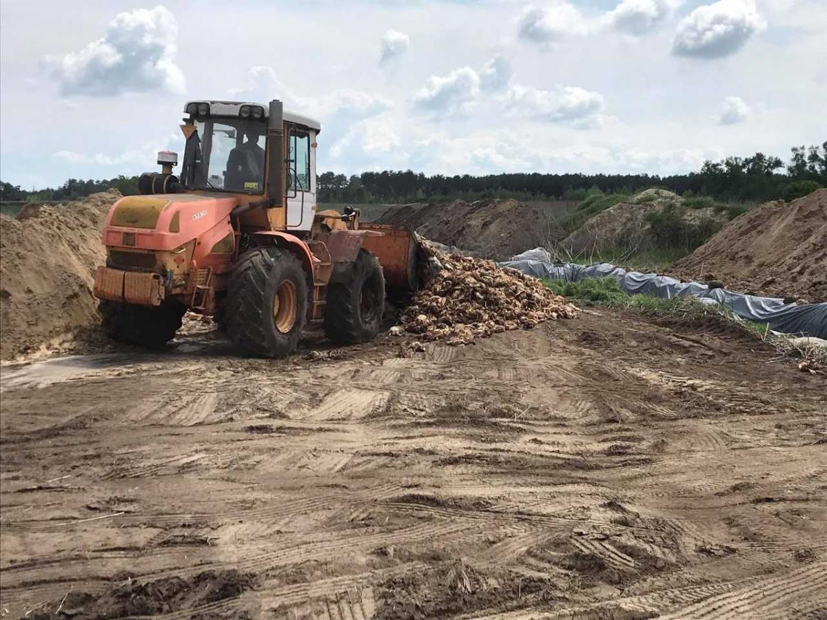 Місцеві жителі побоюються екологічної катастрофи / фото УНІАН Місцеві жителі побоюються екологічної катастрофи / фото УНІАН