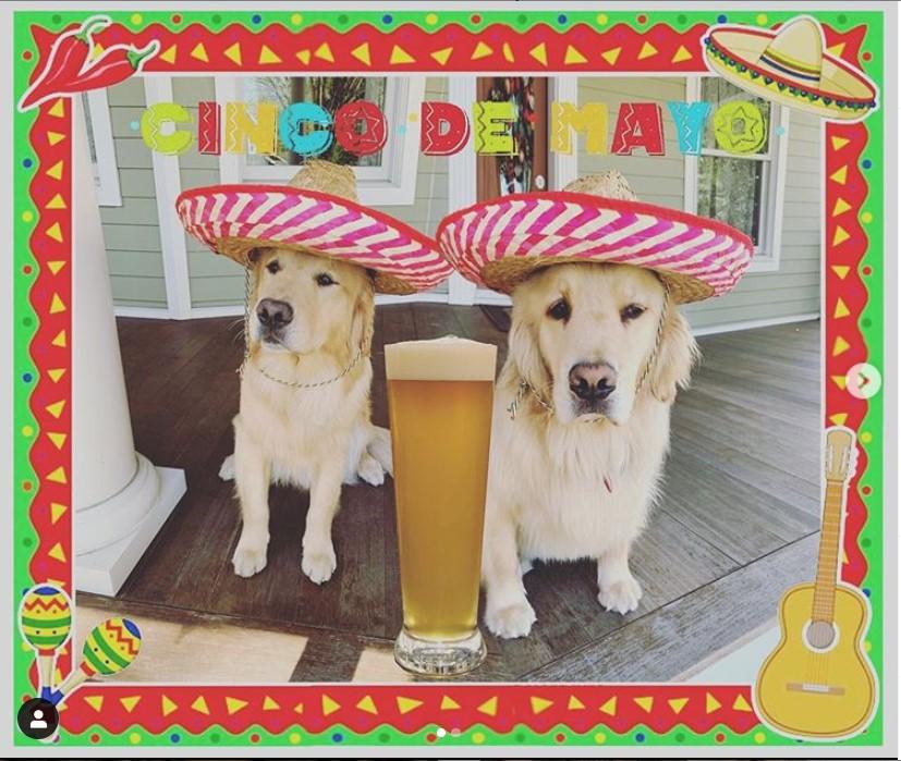 six_harbors_brewing_company / instagram six_harbors_brewing_company / instagram