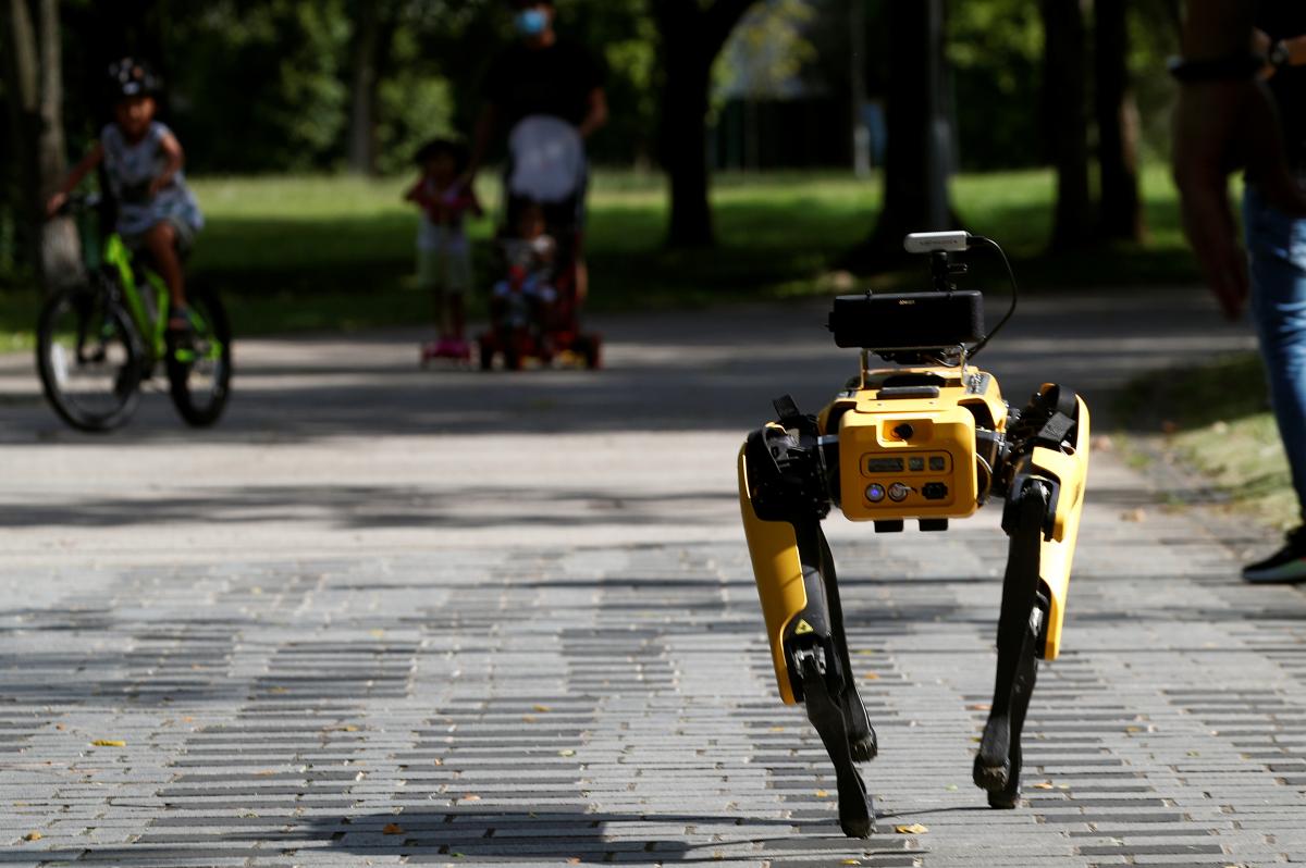 Робот допоможе розміновувати території \ фото REUTERS