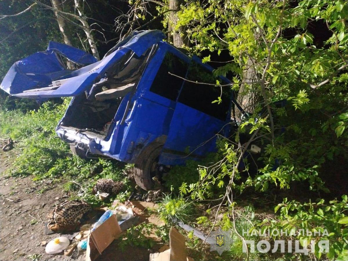 фото: полиция области фото: полиция области