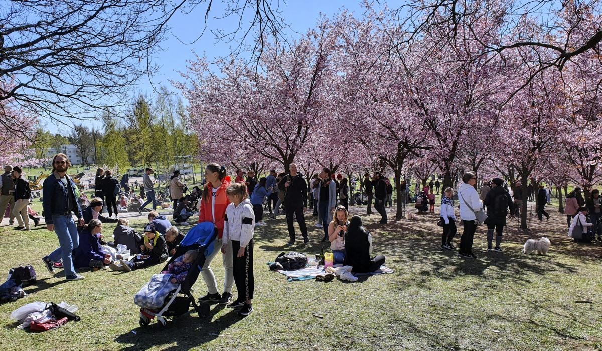 Обрано найщасливішу країну в світі: яке місце в цьому рейтингу посіла Україна
